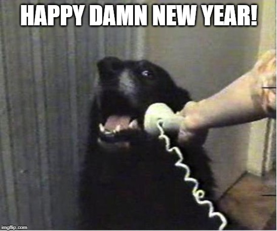 Yes this is dog | HAPPY DAMN NEW YEAR! | image tagged in yes this is dog | made w/ Imgflip meme maker