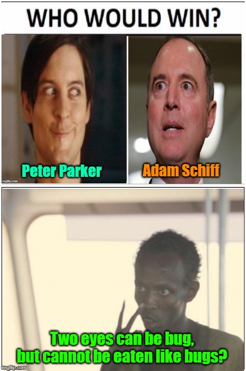 They see everything | Adam Schiff; Peter Parker; Two eyes can be bug, but cannot be eaten like bugs? | image tagged in memes,adam schiff,peter parker,who would win,pirates | made w/ Imgflip meme maker