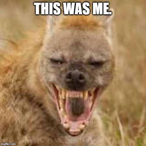 Mohawk hyena | THIS WAS ME. | image tagged in mohawk hyena | made w/ Imgflip meme maker