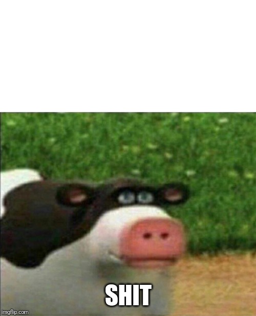 Perhaps cow | SHIT | image tagged in perhaps cow | made w/ Imgflip meme maker