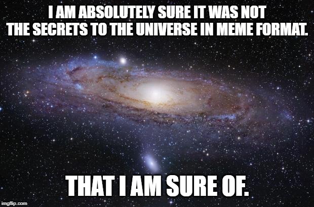 God Religion Universe | I AM ABSOLUTELY SURE IT WAS NOT THE SECRETS TO THE UNIVERSE IN MEME FORMAT. THAT I AM SURE OF. | image tagged in god religion universe | made w/ Imgflip meme maker