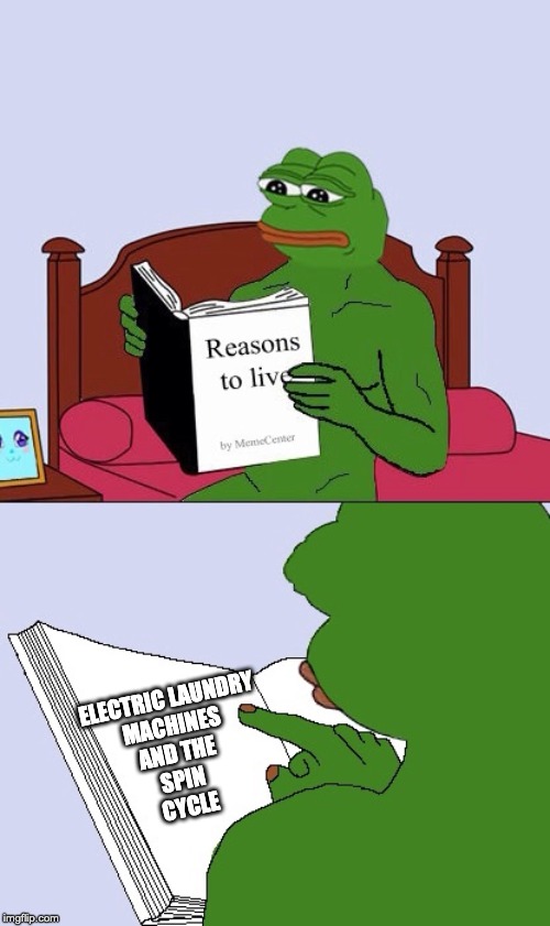 Blank Pepe Reasons to Live | ELECTRIC LAUNDRY 
MACHINES 
AND THE 
SPIN 
CYCLE | image tagged in blank pepe reasons to live | made w/ Imgflip meme maker