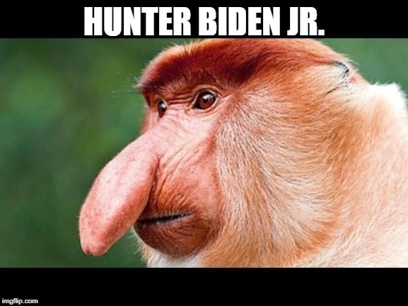 Big Nose Monkey | HUNTER BIDEN JR. | image tagged in big nose monkey | made w/ Imgflip meme maker