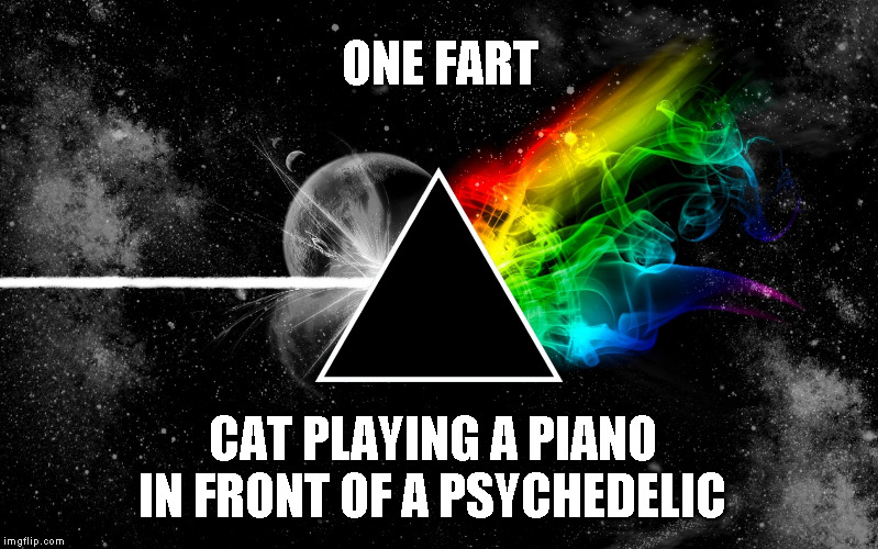 Dark side of moon pink floyd | ONE FART; CAT PLAYING A PIANO IN FRONT OF A PSYCHEDELIC | image tagged in dark side of moon pink floyd | made w/ Imgflip meme maker