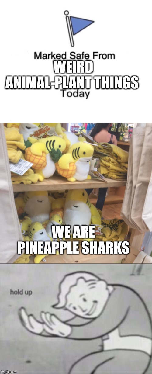 WEIRD ANIMAL-PLANT THINGS; WE ARE PINEAPPLE SHARKS | image tagged in fallout hold up,memes,marked safe from | made w/ Imgflip meme maker