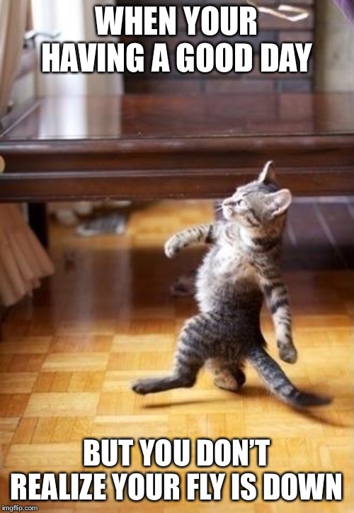 Cool Cat Stroll | WHEN YOUR HAVING A GOOD DAY; BUT YOU DON’T REALIZE YOUR FLY IS DOWN | image tagged in memes,cool cat stroll | made w/ Imgflip meme maker