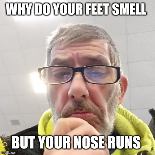 Pondering Bert | WHY DO YOUR FEET SMELL; BUT YOUR NOSE RUNS | image tagged in pondering bert | made w/ Imgflip meme maker
