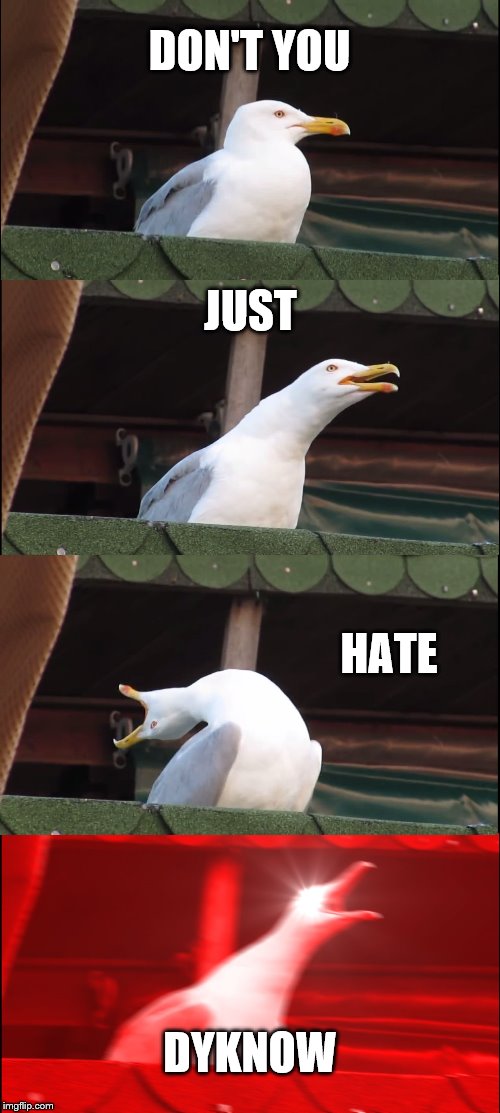 Inhaling Seagull | DON'T YOU; JUST; HATE; DYKNOW | image tagged in memes,inhaling seagull | made w/ Imgflip meme maker