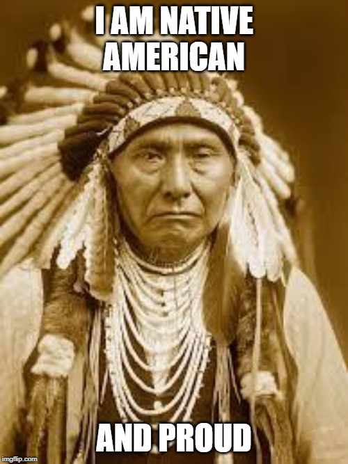 Native American | I AM NATIVE AMERICAN; AND PROUD | image tagged in native american | made w/ Imgflip meme maker