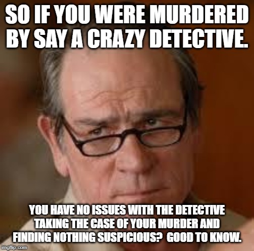 my face when someone asks a stupid question | SO IF YOU WERE MURDERED BY SAY A CRAZY DETECTIVE. YOU HAVE NO ISSUES WITH THE DETECTIVE TAKING THE CASE OF YOUR MURDER AND FINDING NOTHING S | image tagged in my face when someone asks a stupid question | made w/ Imgflip meme maker