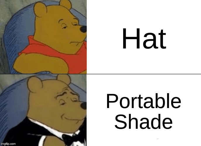 Quick, grab your portable shade! | Hat; Portable Shade | image tagged in memes,tuxedo winnie the pooh | made w/ Imgflip meme maker