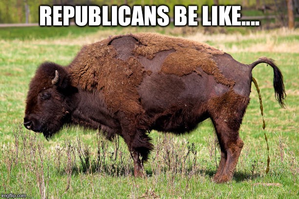 REPUBLICANS BE LIKE.... | made w/ Imgflip meme maker