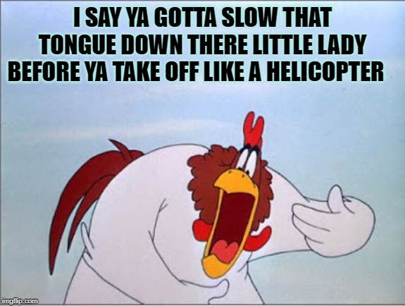 foghorn | I SAY YA GOTTA SLOW THAT TONGUE DOWN THERE LITTLE LADY BEFORE YA TAKE OFF LIKE A HELICOPTER | image tagged in foghorn | made w/ Imgflip meme maker