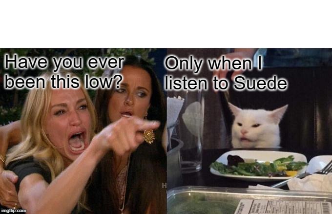 Woman Yelling At Cat | Have you ever been this low? Only when I listen to Suede | image tagged in memes,woman yelling at cat | made w/ Imgflip meme maker