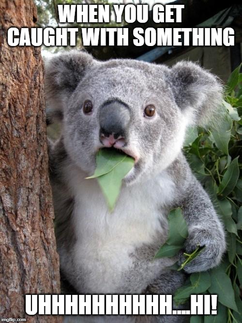 Surprised Koala Meme | WHEN YOU GET CAUGHT WITH SOMETHING; UHHHHHHHHHH....HI! | image tagged in memes,surprised koala | made w/ Imgflip meme maker