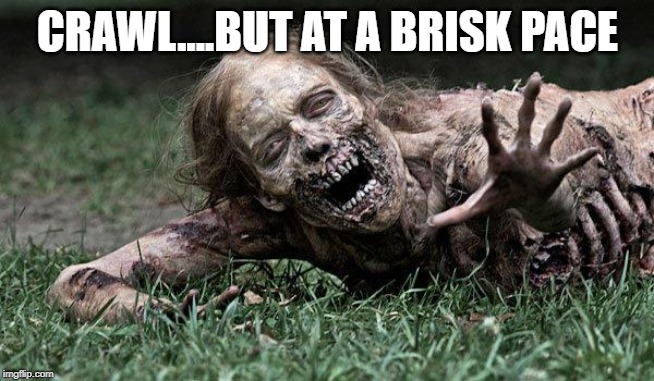 Walking Dead Zombie | CRAWL....BUT AT A BRISK PACE | image tagged in walking dead zombie | made w/ Imgflip meme maker