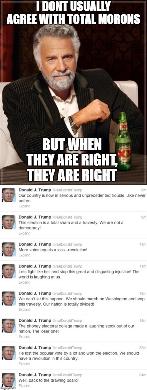 Even idiots can see it | I DONT USUALLY AGREE WITH TOTAL MORONS; BUT WHEN THEY ARE RIGHT, THEY ARE RIGHT | image tagged in memes,the most interesting man in the world,politics,electoral college,maga,impeach trump | made w/ Imgflip meme maker