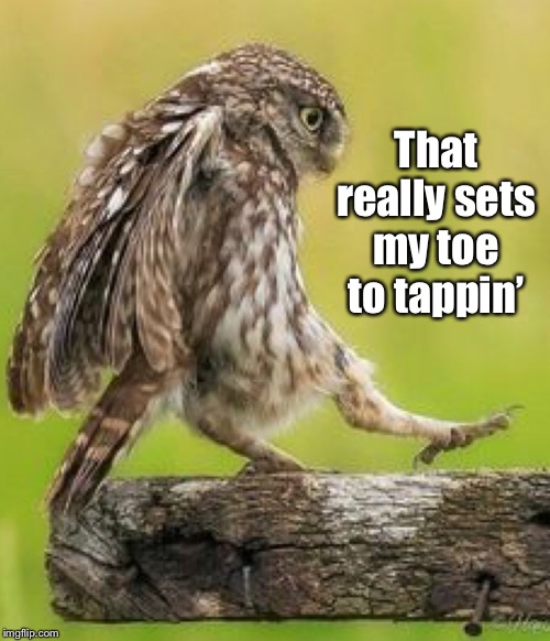 That really sets my toe to tappin’ | made w/ Imgflip meme maker