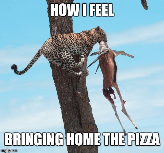 HOW I FEEL; BRINGING HOME THE PIZZA | image tagged in pizza | made w/ Imgflip meme maker