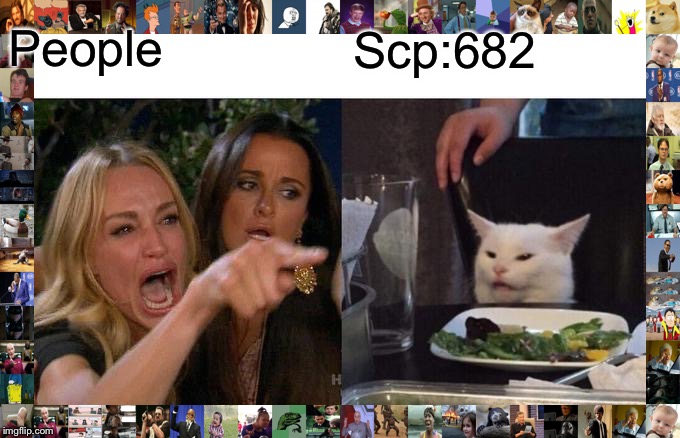 Woman Yelling At Cat Meme | People Scp:682 | image tagged in memes,woman yelling at cat | made w/ Imgflip meme maker