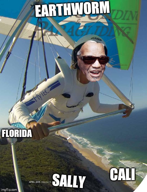 Ray charles hang glider | EARTHWORM; FLORIDA; SALLY; CALI | image tagged in ray charles hang glider | made w/ Imgflip meme maker