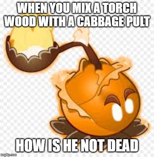 WHEN YOU MIX A TORCH WOOD WITH A CABBAGE PULT; HOW IS HE NOT DEAD | made w/ Imgflip meme maker