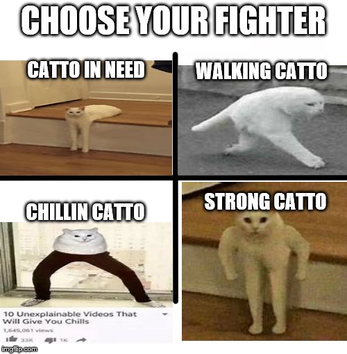 Blank Starter Pack | CHOOSE YOUR FIGHTER; WALKING CATTO; CATTO IN NEED; CHILLIN CATTO; STRONG CATTO | image tagged in memes,blank starter pack | made w/ Imgflip meme maker