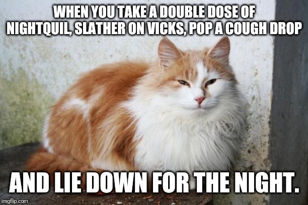 Satisfied Cat | WHEN YOU TAKE A DOUBLE DOSE OF NIGHTQUIL, SLATHER ON VICKS, POP A COUGH DROP; AND LIE DOWN FOR THE NIGHT. | image tagged in satisfied cat | made w/ Imgflip meme maker