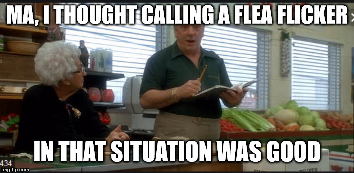 MA, I THOUGHT CALLING A FLEA FLICKER; IN THAT SITUATION WAS GOOD | made w/ Imgflip meme maker