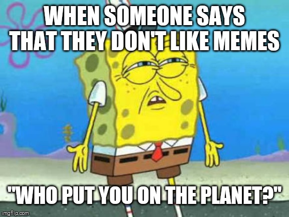 Who put you on the planet |  WHEN SOMEONE SAYS THAT THEY DON'T LIKE MEMES; "WHO PUT YOU ON THE PLANET?" | image tagged in who put you on the planet | made w/ Imgflip meme maker