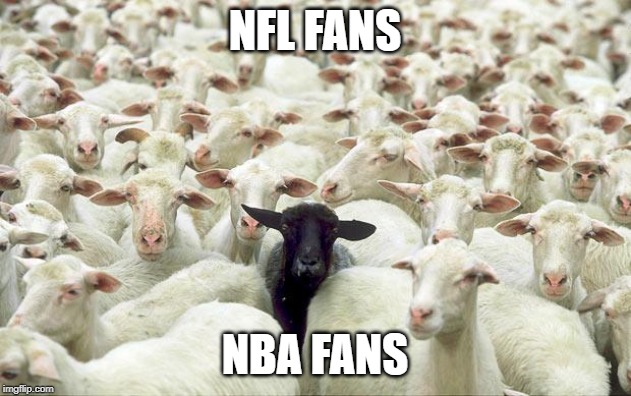 black sheep | NFL FANS; NBA FANS | image tagged in black sheep | made w/ Imgflip meme maker