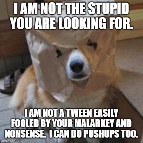 I'm not your dog | I AM NOT THE STUPID YOU ARE LOOKING FOR. I AM NOT A TWEEN EASILY FOOLED BY YOUR MALARKEY AND NONSENSE.  I CAN DO PUSHUPS TOO. | image tagged in i'm not your dog | made w/ Imgflip meme maker