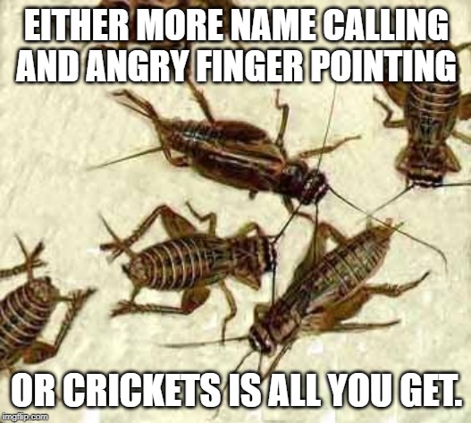 Crickets | EITHER MORE NAME CALLING AND ANGRY FINGER POINTING OR CRICKETS IS ALL YOU GET. | image tagged in crickets | made w/ Imgflip meme maker