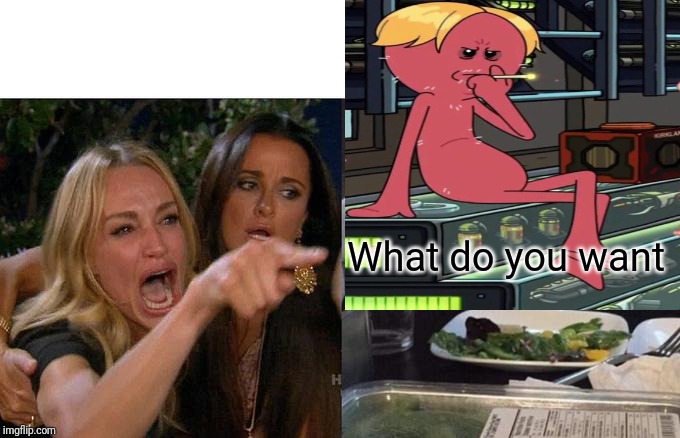 Woman Yelling At Cat Meme | What do you want | image tagged in memes,woman yelling at cat | made w/ Imgflip meme maker