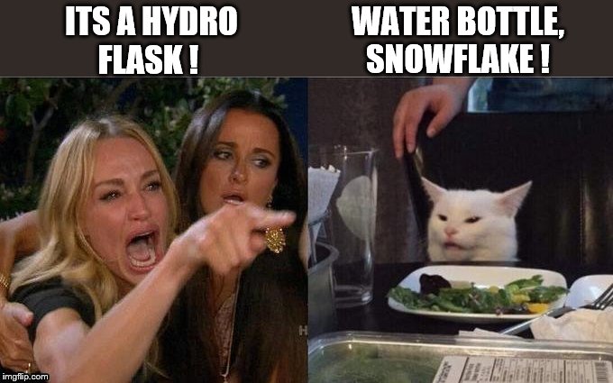 water bottle | WATER BOTTLE,
SNOWFLAKE ! ITS A HYDRO
FLASK ! | image tagged in funny,cat,meme,snowflake,joke | made w/ Imgflip meme maker