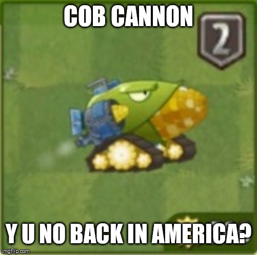 COB CANNON; Y U NO BACK IN AMERICA? | image tagged in cob cannon,pvz,memes | made w/ Imgflip meme maker