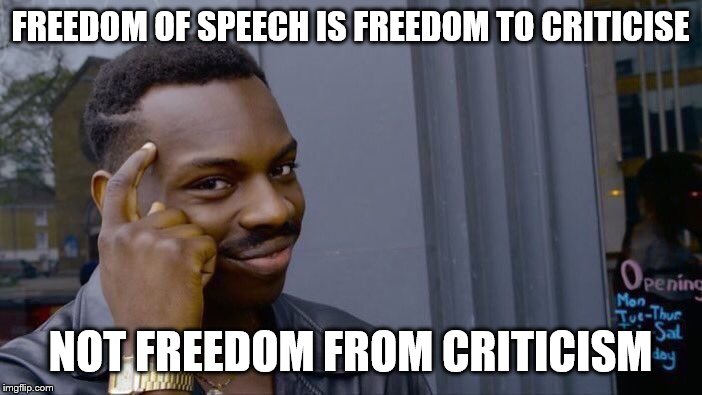Roll Safe Think About It Meme | FREEDOM OF SPEECH IS FREEDOM TO CRITICISE NOT FREEDOM FROM CRITICISM | image tagged in memes,roll safe think about it | made w/ Imgflip meme maker