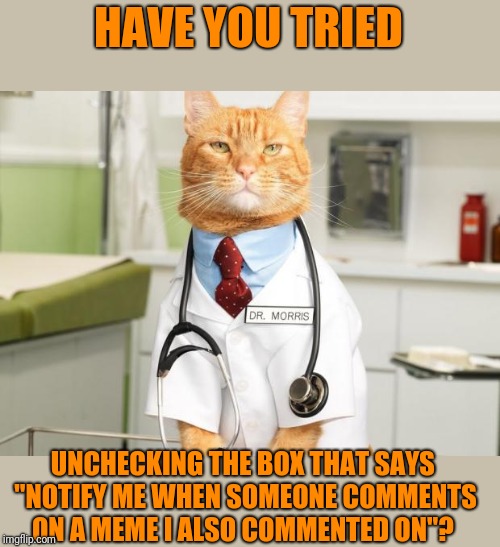 Cat Doctor | HAVE YOU TRIED UNCHECKING THE BOX THAT SAYS 
"NOTIFY ME WHEN SOMEONE COMMENTS ON A MEME I ALSO COMMENTED ON"? | image tagged in cat doctor | made w/ Imgflip meme maker