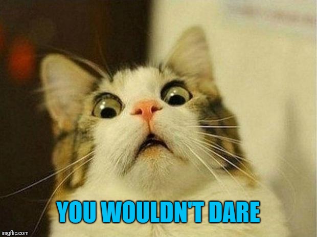 frightened cat | YOU WOULDN'T DARE | image tagged in frightened cat | made w/ Imgflip meme maker
