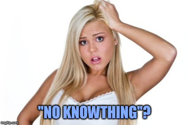 Dumb Blonde | "NO KNOWTHING"? | image tagged in dumb blonde | made w/ Imgflip meme maker