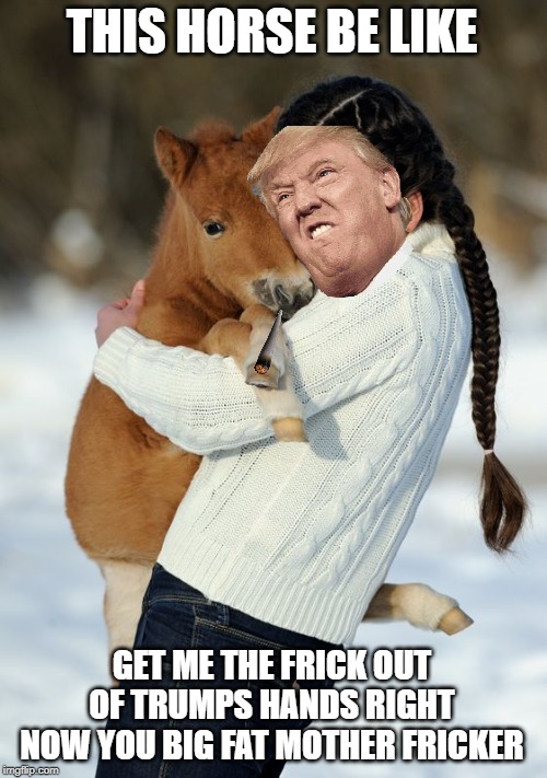 WTF IS HAPPENING | THIS HORSE BE LIKE; GET ME THE FRICK OUT OF TRUMPS HANDS RIGHT NOW YOU BIG FAT MOTHER FRICKER | image tagged in wtf is happening | made w/ Imgflip meme maker