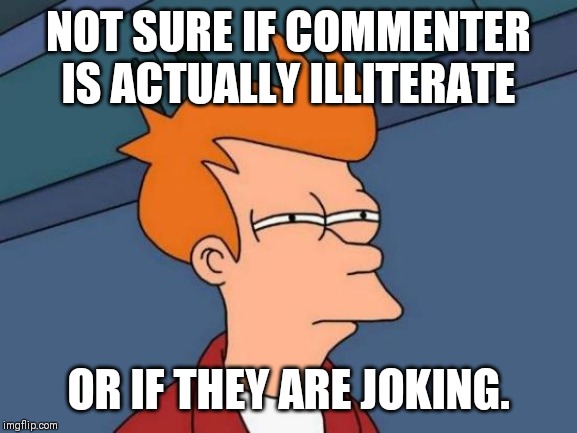Fry Futurama | NOT SURE IF COMMENTER IS ACTUALLY ILLITERATE; OR IF THEY ARE JOKING. | image tagged in fry futurama | made w/ Imgflip meme maker
