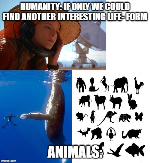 Contact | HUMANITY: IF ONLY WE COULD FIND ANOTHER INTERESTING LIFE- FORM; ANIMALS: | image tagged in contact | made w/ Imgflip meme maker