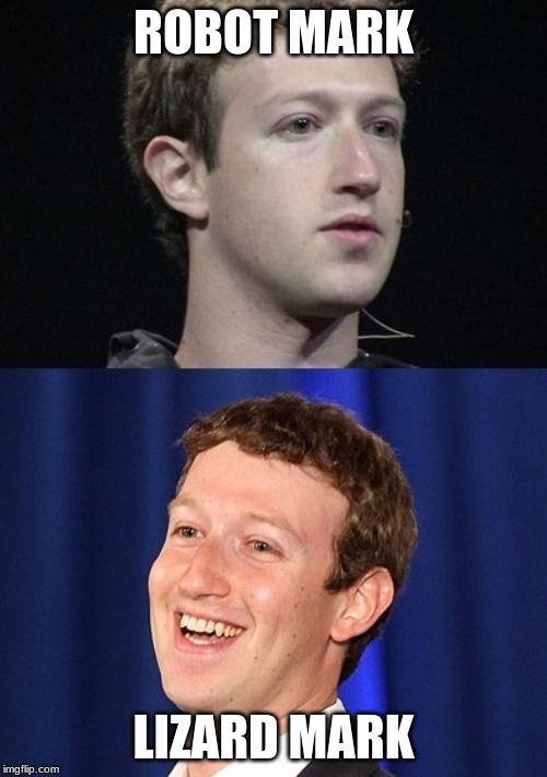 Zuckerberg Meme | ROBOT MARK; LIZARD MARK | image tagged in memes,zuckerberg | made w/ Imgflip meme maker