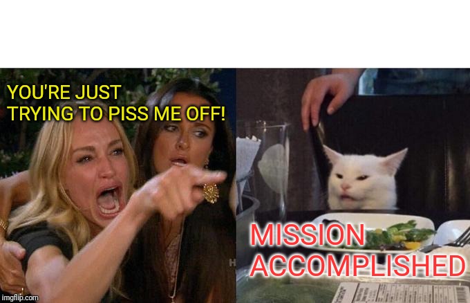 Woman Yelling At Cat | YOU'RE JUST TRYING TO PISS ME OFF! MISSION ACCOMPLISHED | image tagged in memes,woman yelling at cat | made w/ Imgflip meme maker