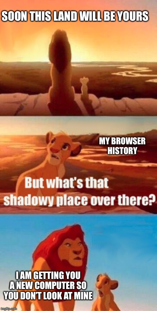 Simba Shadowy Place | SOON THIS LAND WILL BE YOURS; MY BROWSER HISTORY; I AM GETTING YOU A NEW COMPUTER SO YOU DON’T LOOK AT MINE | image tagged in memes,simba shadowy place | made w/ Imgflip meme maker