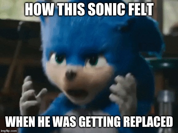 Sonic's Bruh | HOW THIS SONIC FELT; WHEN HE WAS GETTING REPLACED | image tagged in sonic's bruh | made w/ Imgflip meme maker