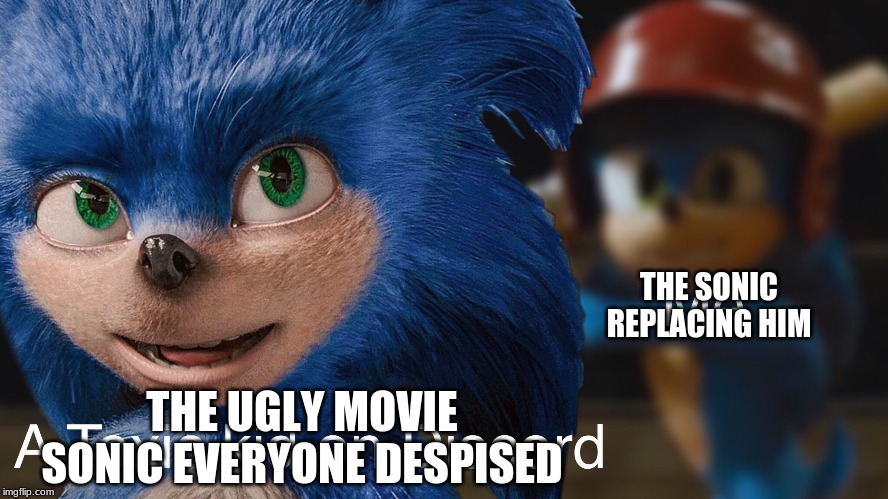 Sonic and New Sonic | THE SONIC REPLACING HIM; THE UGLY MOVIE SONIC EVERYONE DESPISED | image tagged in sonic and new sonic | made w/ Imgflip meme maker