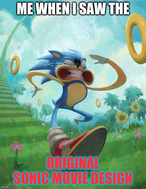 Run sonic | ME WHEN I SAW THE; ORIGINAL SONIC MOVIE DESIGN | image tagged in run sonic | made w/ Imgflip meme maker