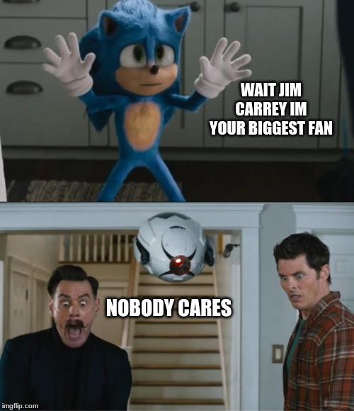 Shocked Sonic | WAIT JIM CARREY IM YOUR BIGGEST FAN; NOBODY CARES | image tagged in shocked sonic | made w/ Imgflip meme maker